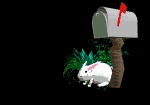 bunnymail.gif (23898 octets)